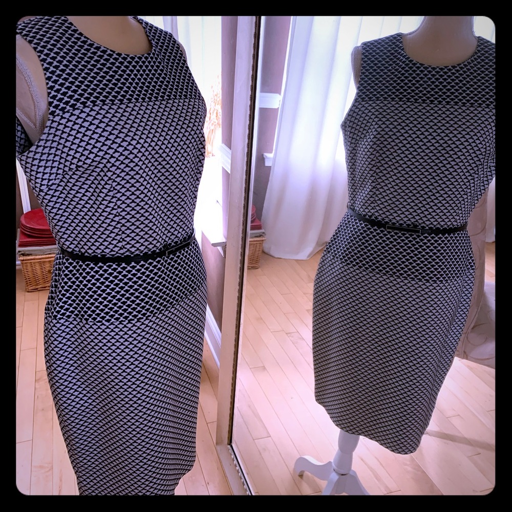 Calvin Klein Gray & White print Belted Dress, Sz 8